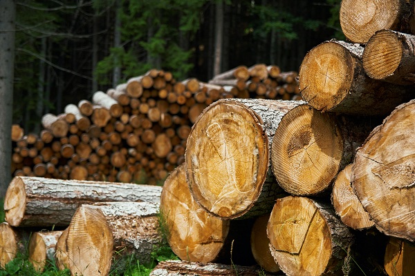 Waupaca's Top Sustainable Lumber Supplier for Businesses